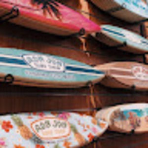 Meet your Posher, Dailynne